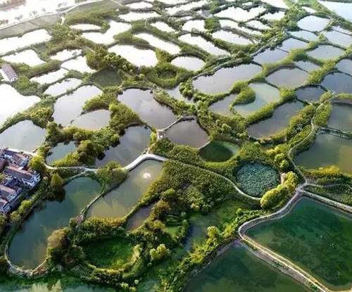 羅茨鼓風(fēng)機(jī)主要作用是什么？